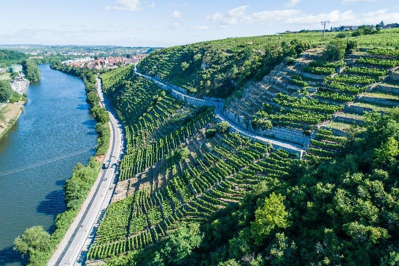 Neckar und die Steillagenweinberge ragen in den Himmel