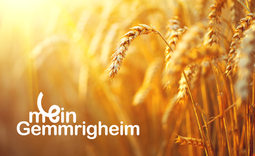 Pusteblume in Herzform und Schriftzug mein Gemmrigheim