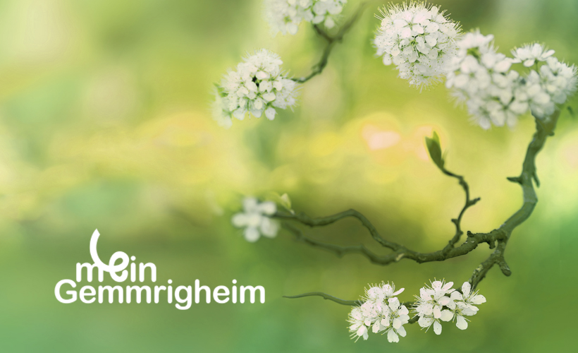 Pusteblume in Herzform und Schriftzug mein Gemmrigheim
